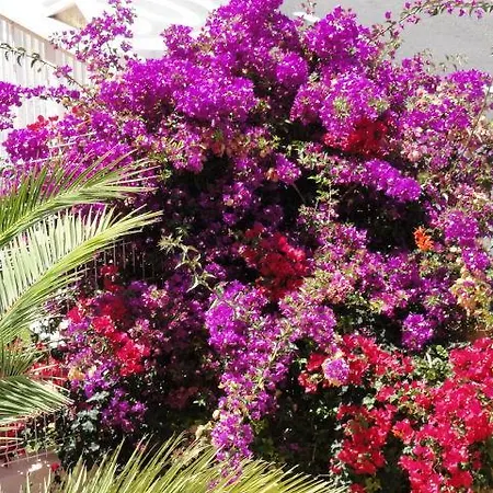 Menores Sunrises Ferienhaus *